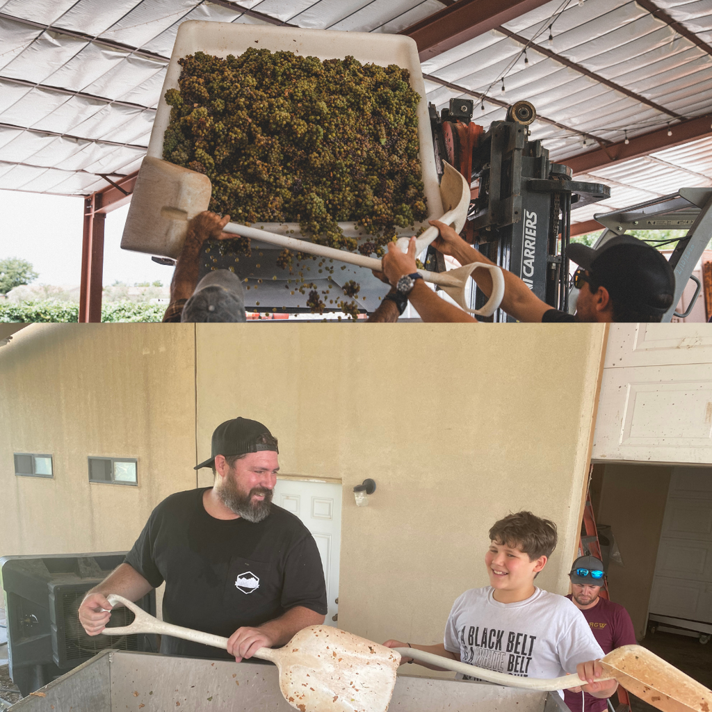 The AI-Proof Career: An Operator's Playbook for the Next Economy