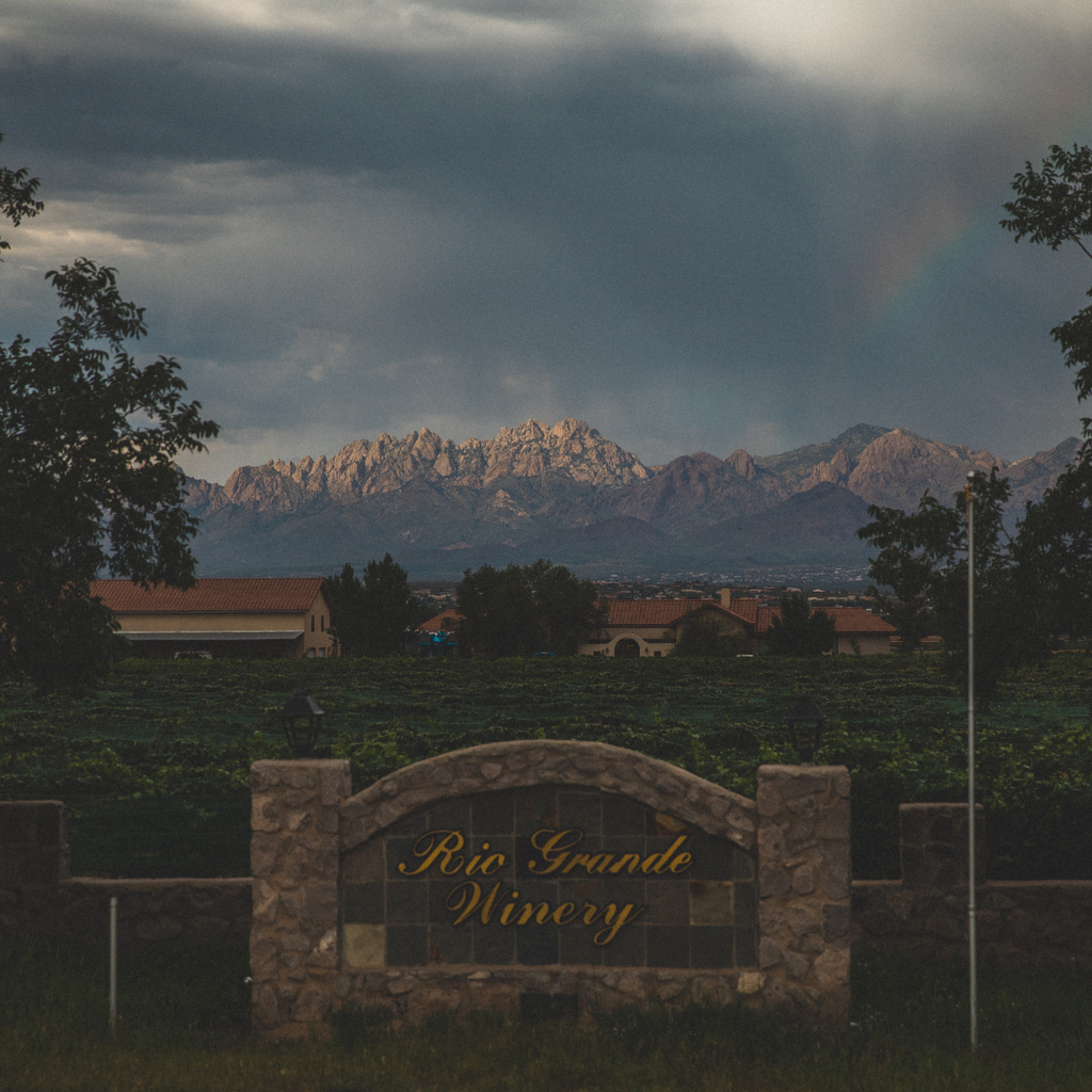 The AI-Proof Career: An Operator's Playbook for the Next Economy