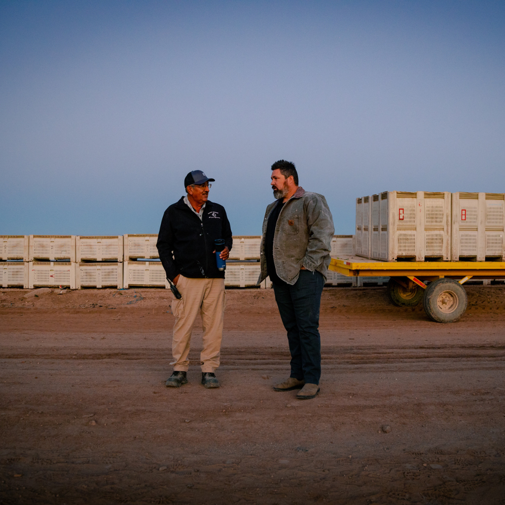 The AI-Proof Career: An Operator's Playbook for the Next Economy